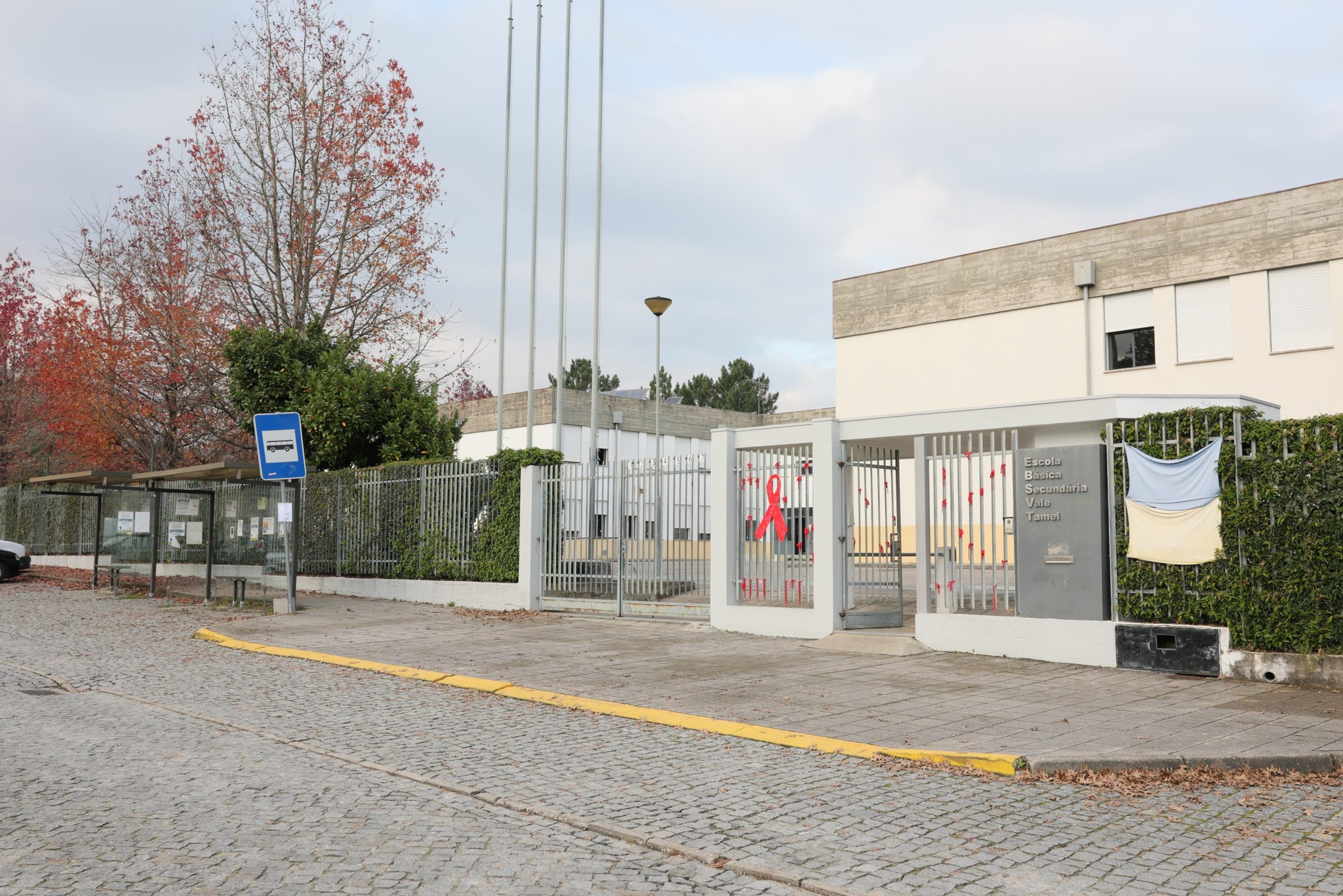 Escola Básica e Secundária de Vale D’Este, Viatodos